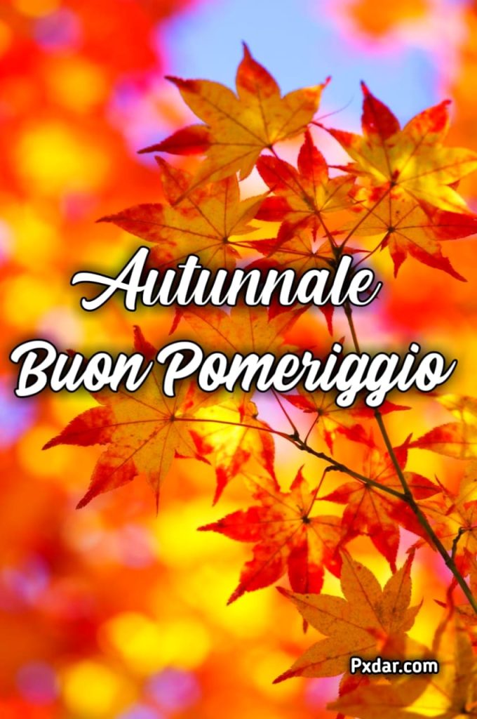 Buon Pomeriggio Immagini Bellissime