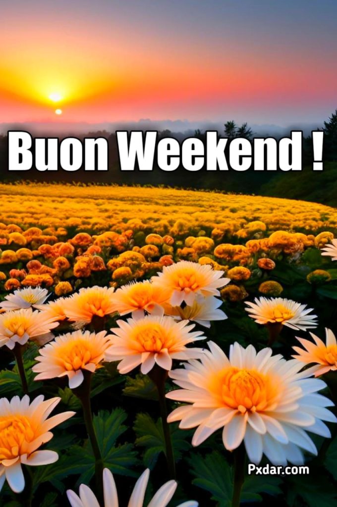 Buon Sabato E Buon Weekend