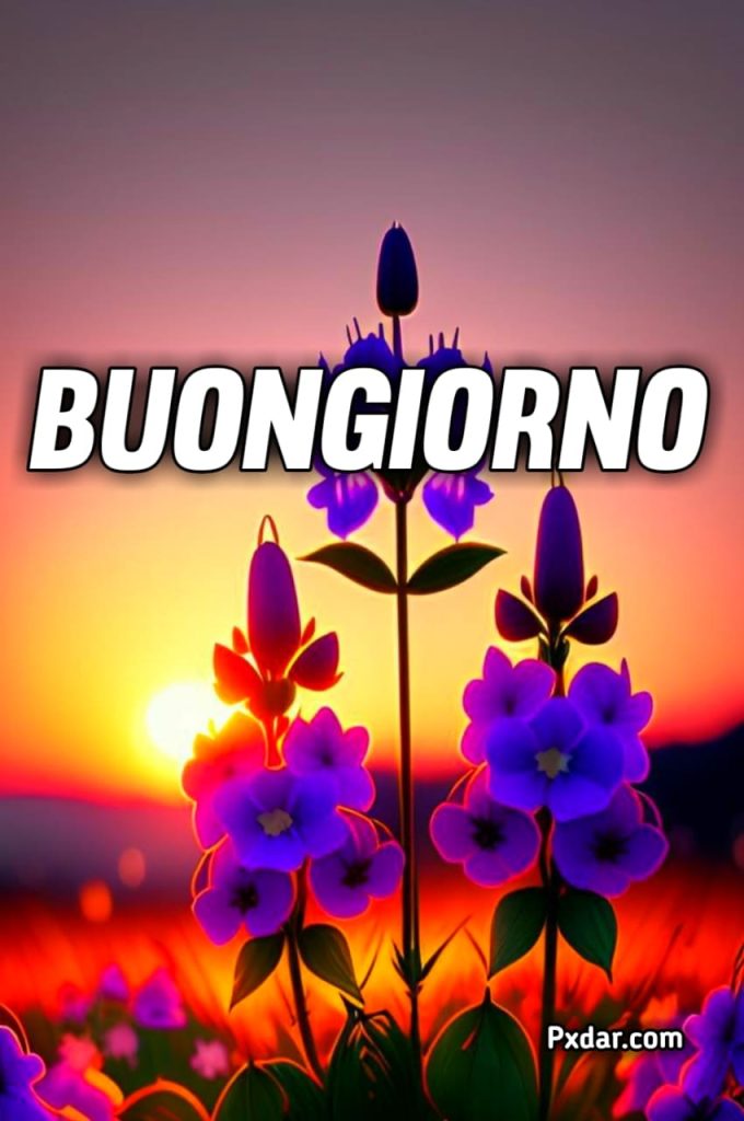 Buon Venerdì Immagini Nuove Bellissime Gratis