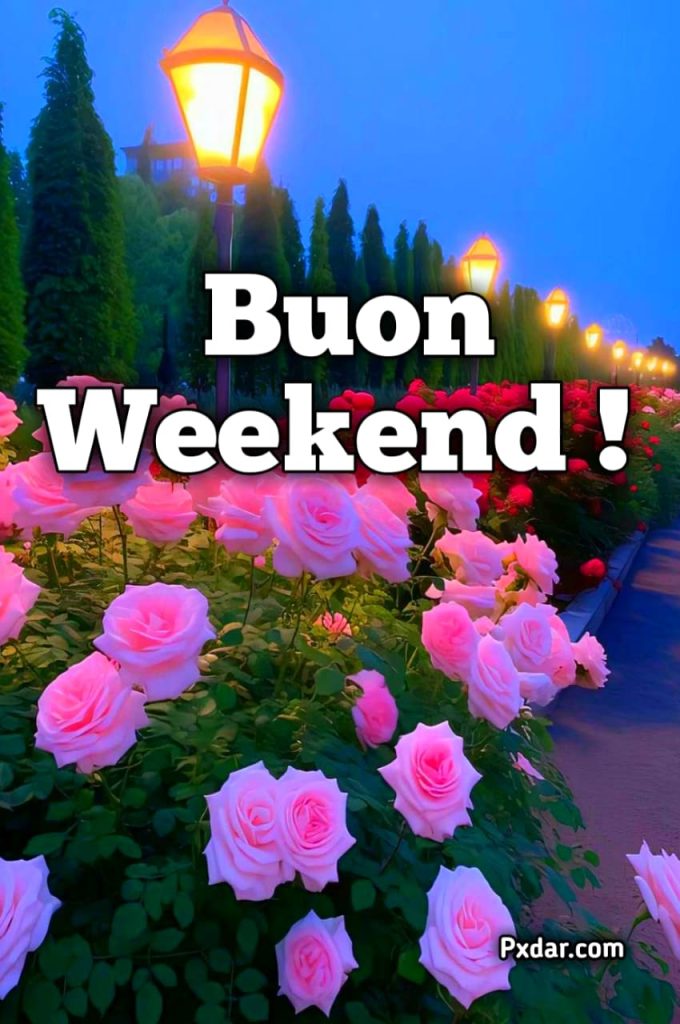 Buon Weekend Gif