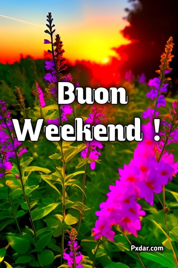 Buon Weekend Immagini Nuove