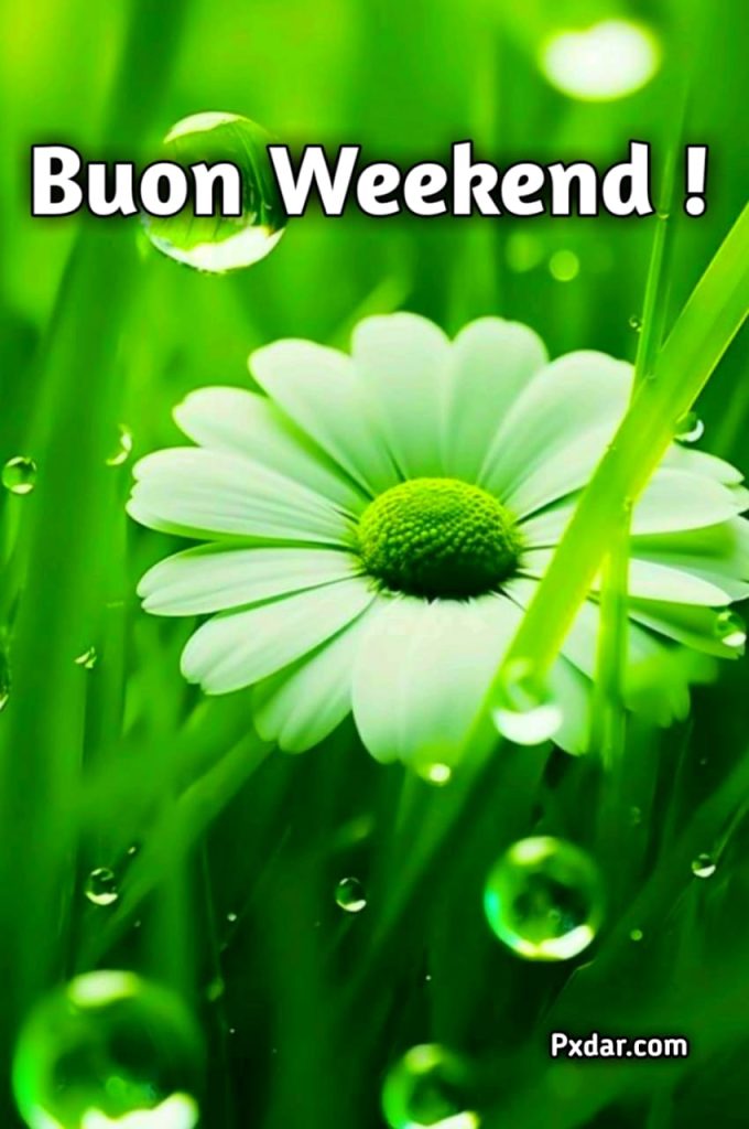 Buon Weekend Immagini Nuove Gratis