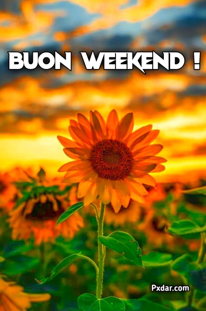 Buon Weekend Snoopy