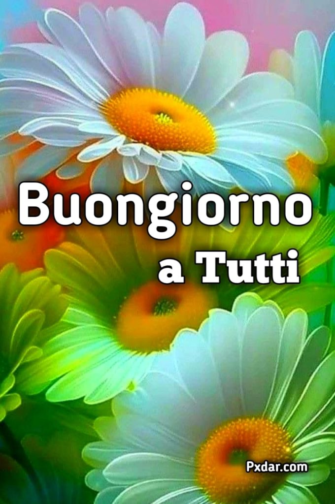 Buona Domenica A Tutti Immagini Nuove