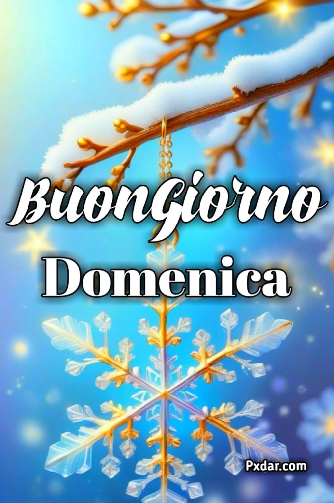 Buona Domenica Invernale