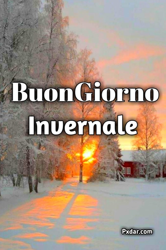 Buona Domenica Invernale Vintage