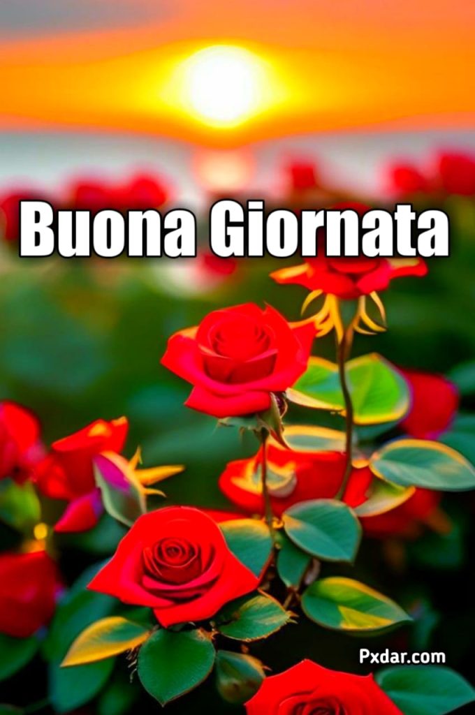 Buona Giornata