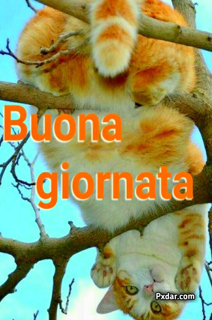 Buona Giornata