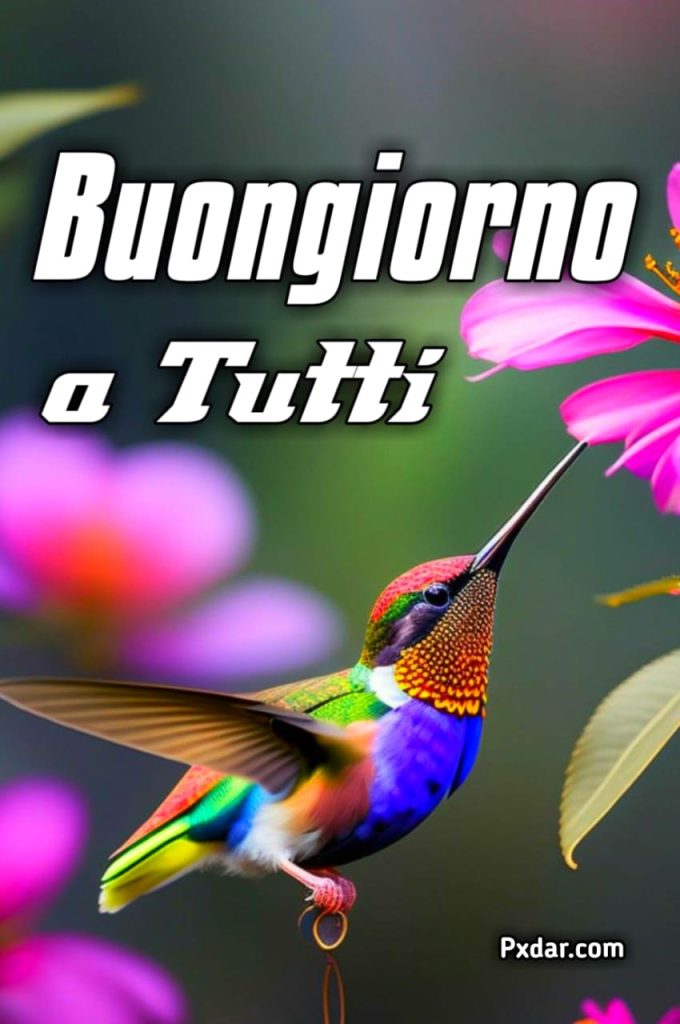 Buona Giornata A Tutti Immagini Nuove