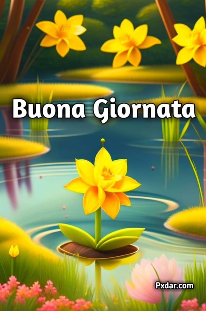 Buona Giornata Gratis