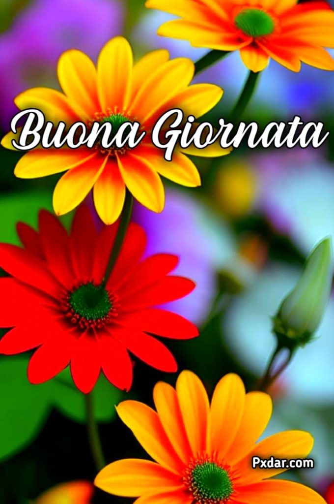 Buona Giornata Immagini