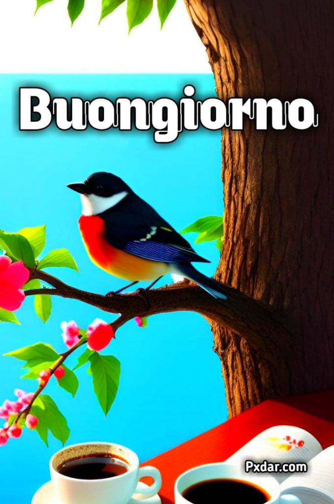 Buona Giornata Originale Semplicemente Buongiorno