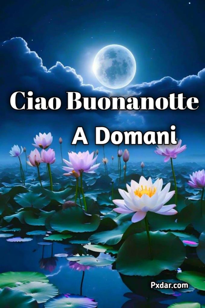 Buona Notte A Domani