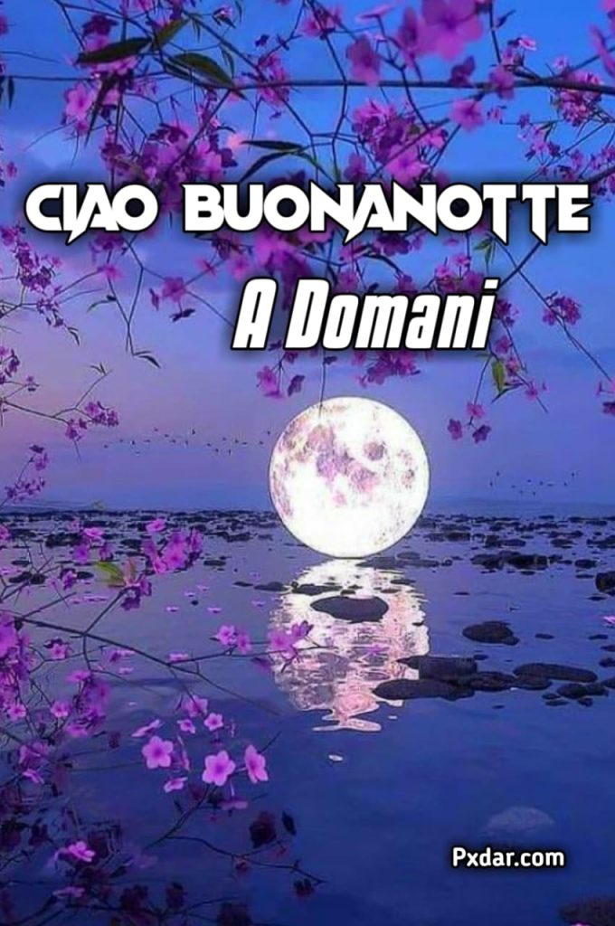 Buona Notte A Domani Foto Bellissime