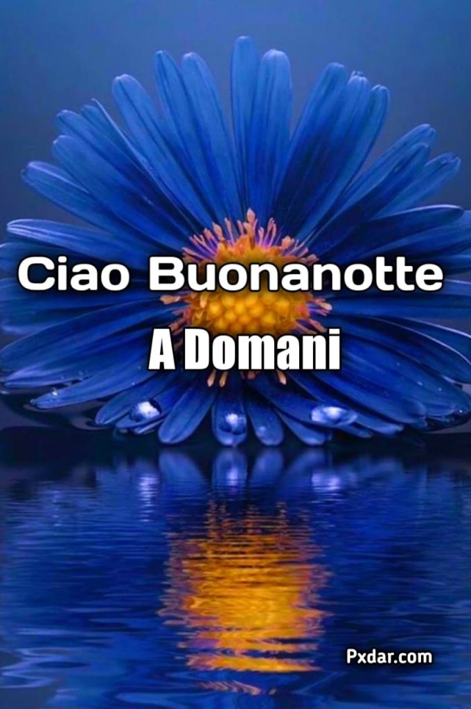 Buona Notte A Domani Gif