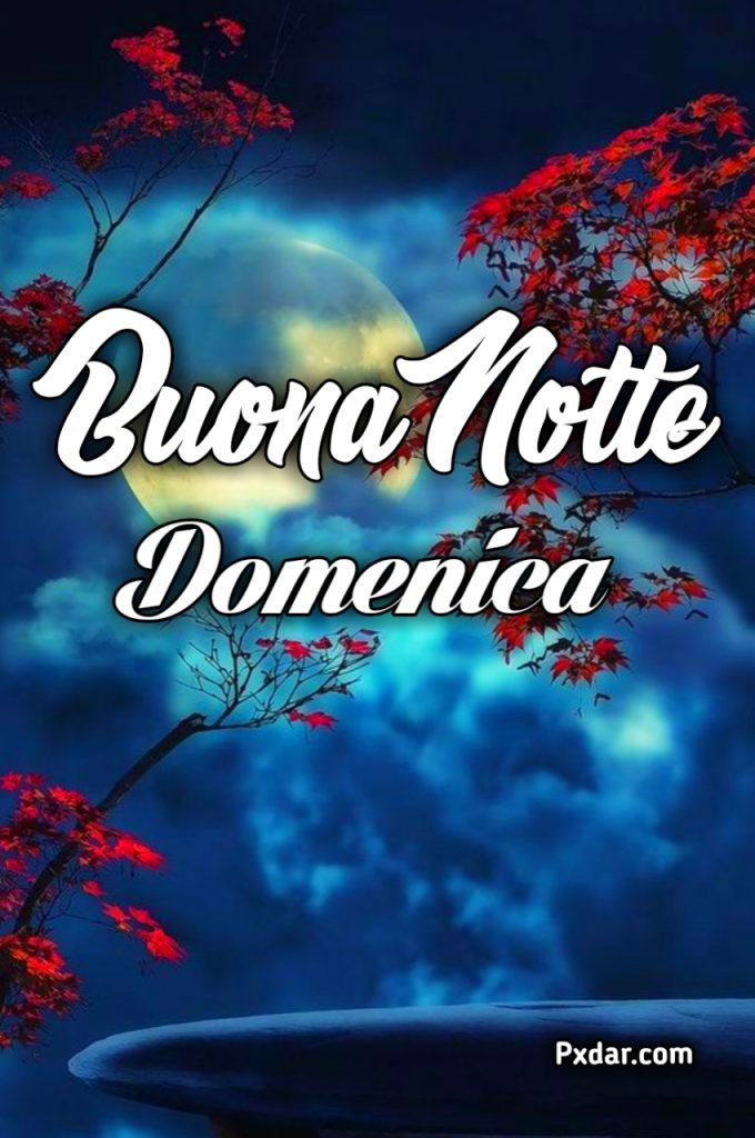 Buona Notte Domenica Finita