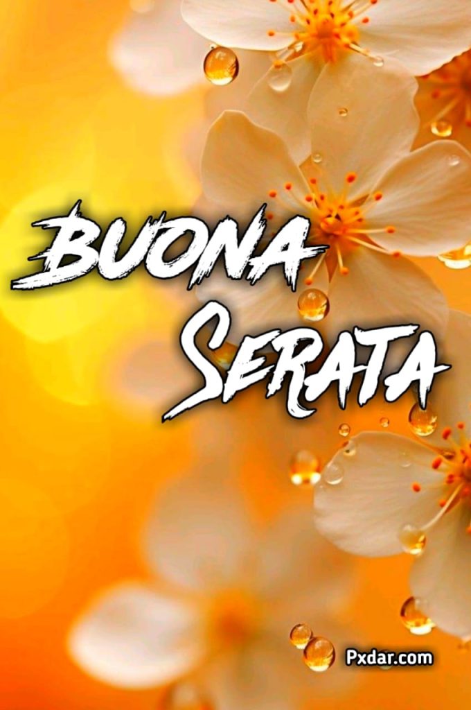 Buona Serata E Buona Notte Immagini Nuove