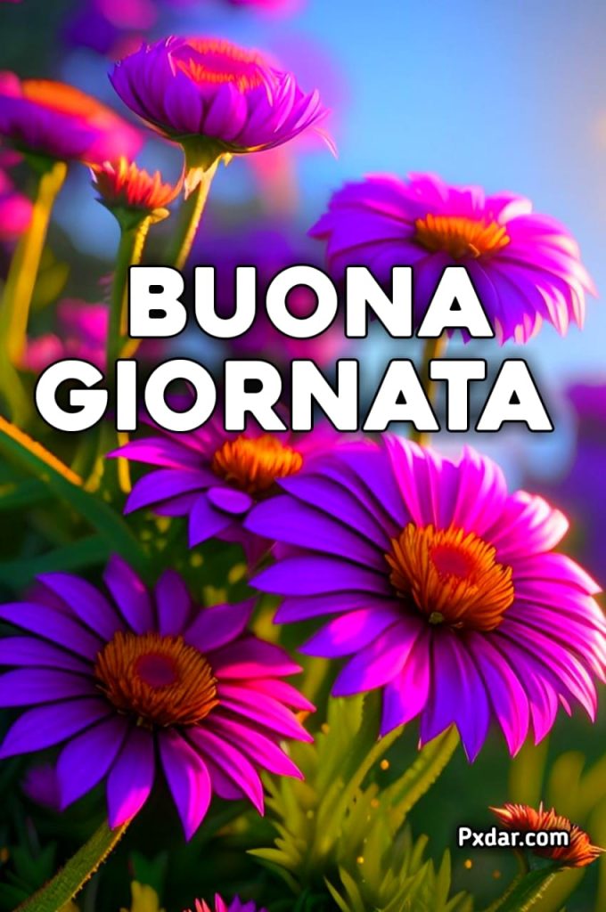 Buona Settimana