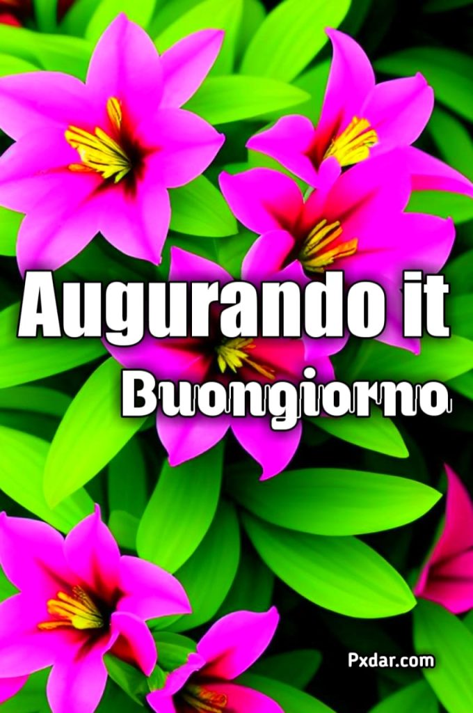 Buonadomenica Augurando.it