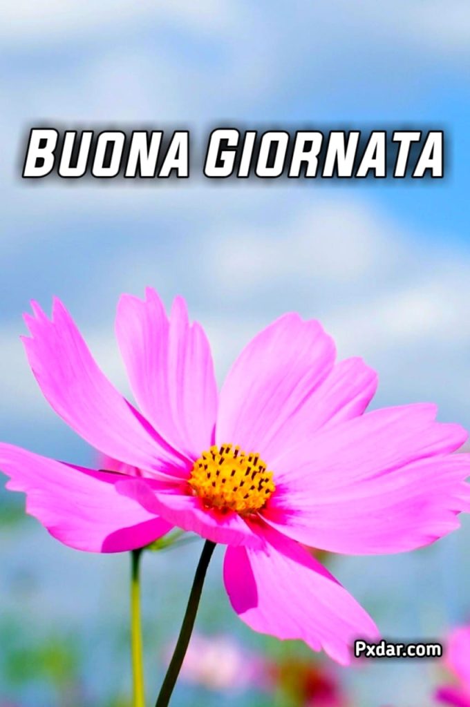 Buonagiornata O Buona Giornata Immagini