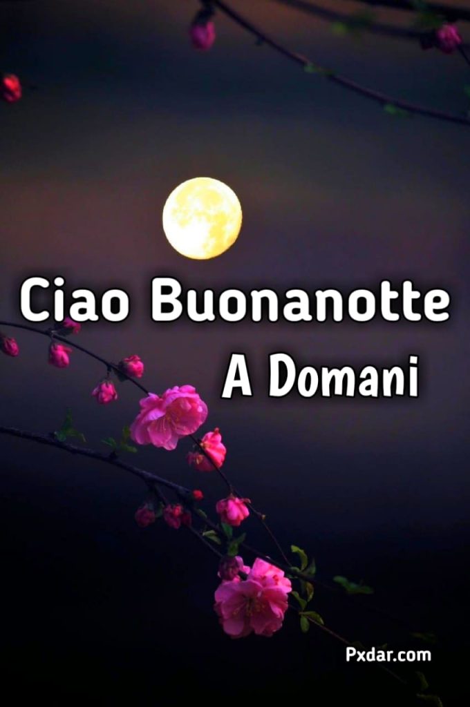 Buonanotte A Domani Nuovo