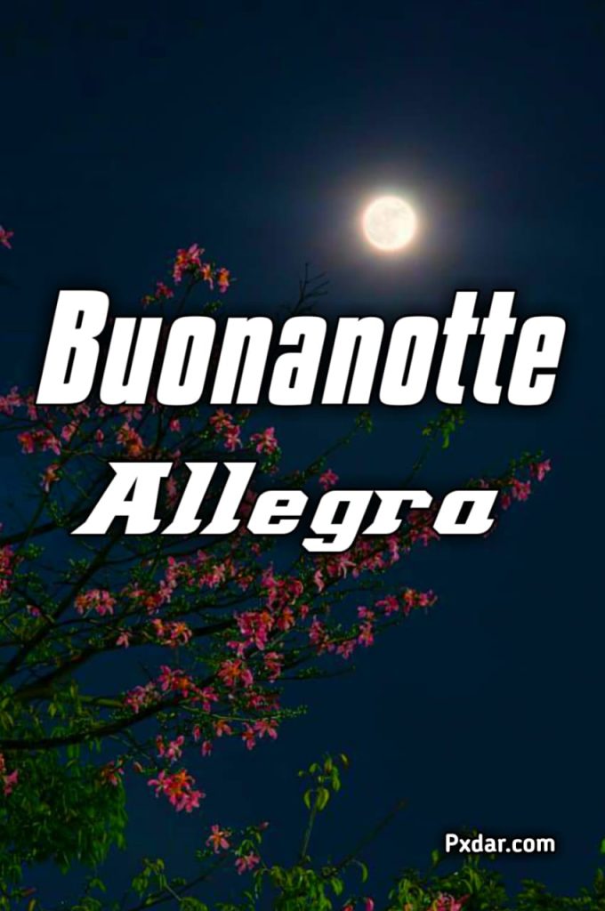 Buonanotte Allegra E Spiritosa Immagini