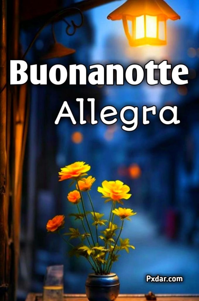 Buonanotte Allegro