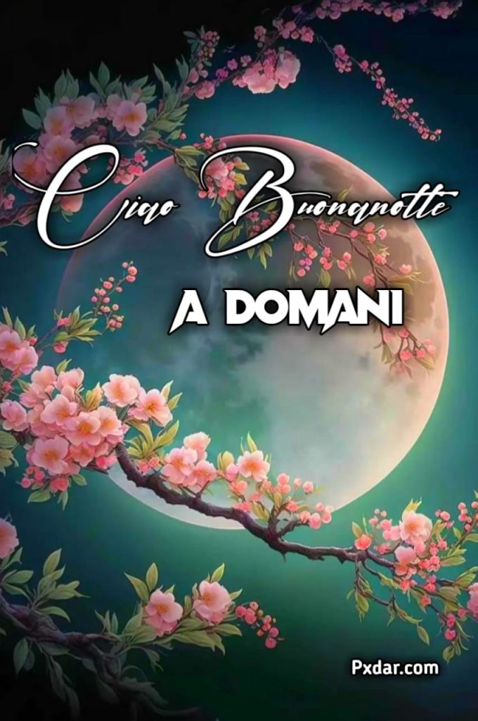 Buonanotte Ciao A Doman