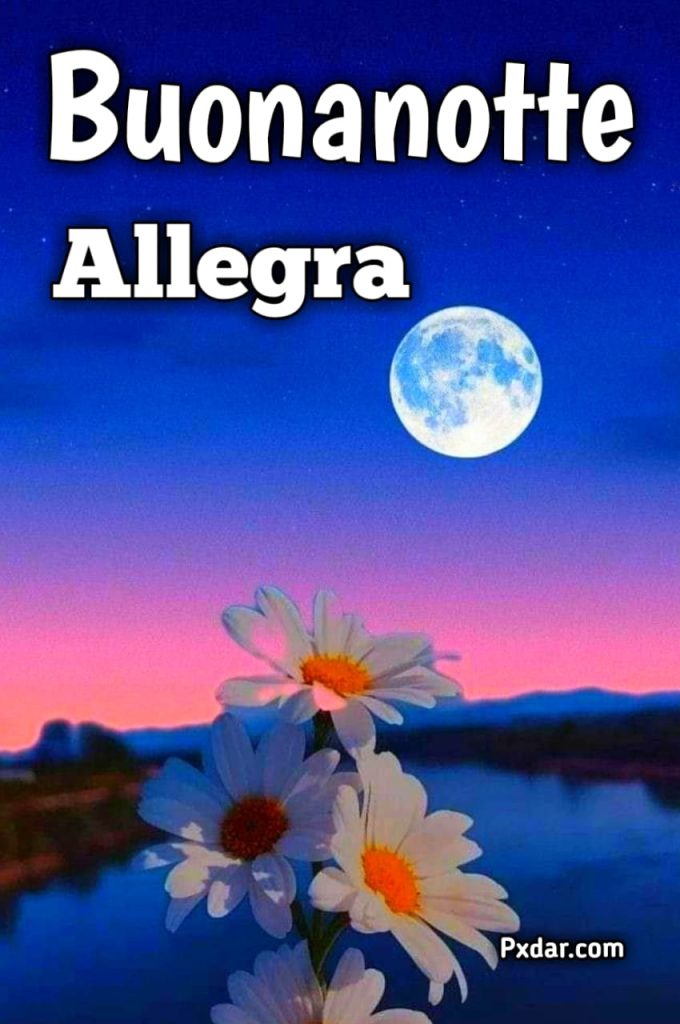 Buonanotte Con Allegria