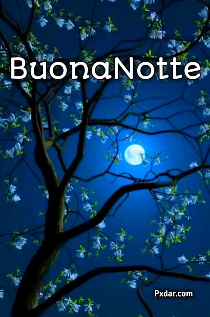 Buonanotte Frasi Luna