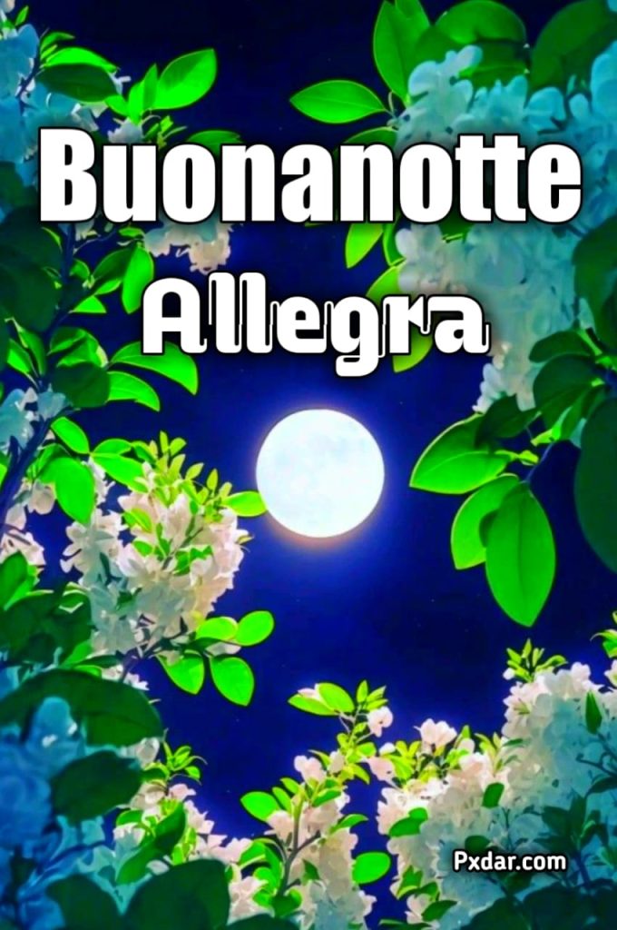 Buonanotte In Allegria