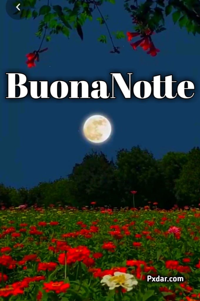 Buonanotte Lunare