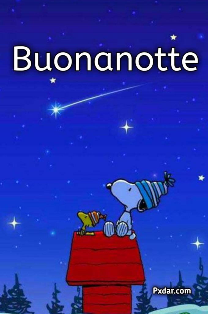 Buonanotte Snoopy A Domani