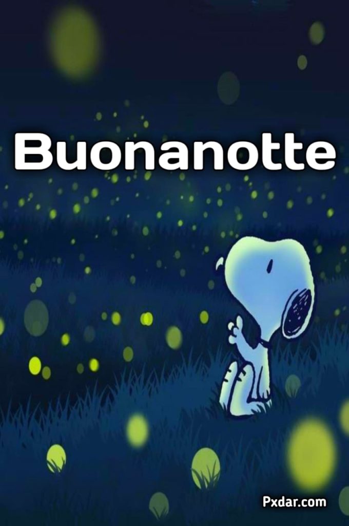 Buonanotte Snoopy E Woodstock