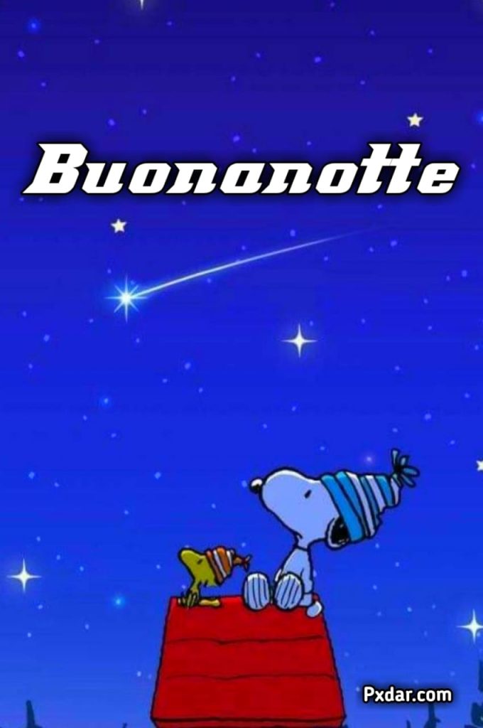 Buonanotte Snoopy Immagini