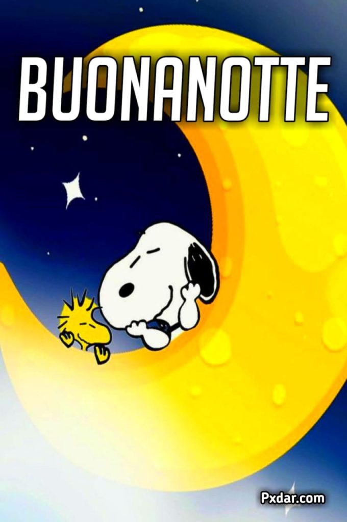 Buonanotte Snoopy Nuovissimi