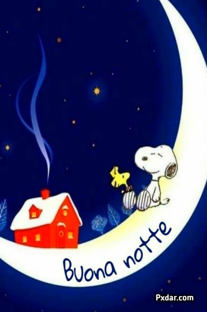 Buonanotte Snoopy Stanco