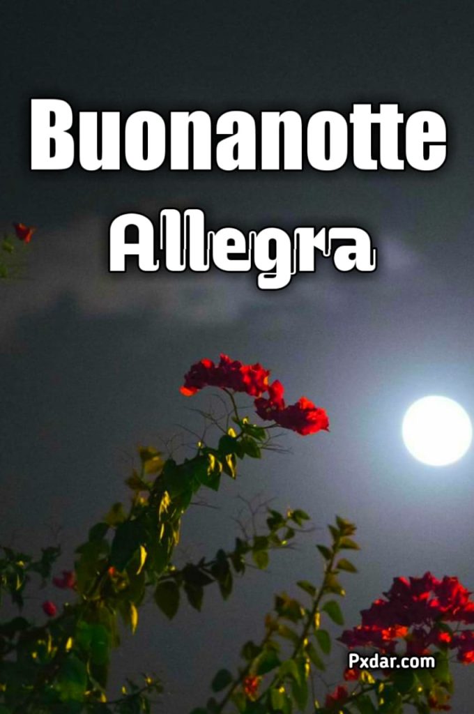 Buonanotte Spiritosa E Allegra