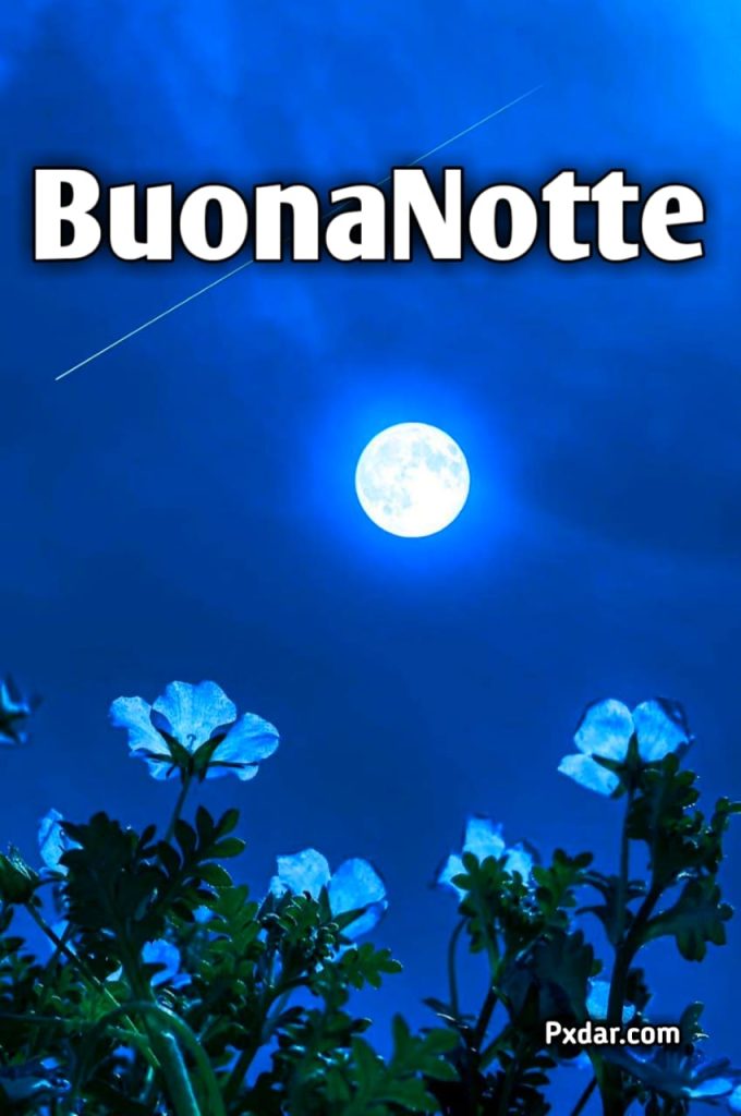 Buonanotte Stelle E Luna