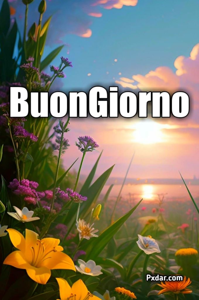 Buongiorno 2024