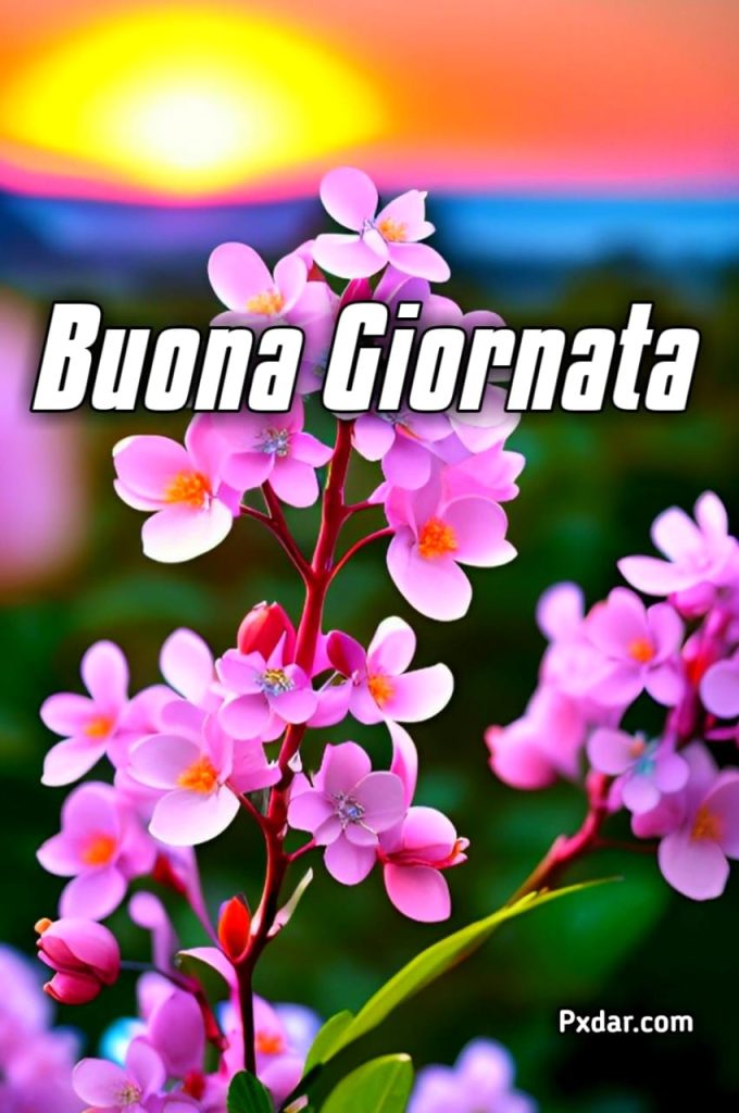 Buongiorno 2024 Immagini Gratis