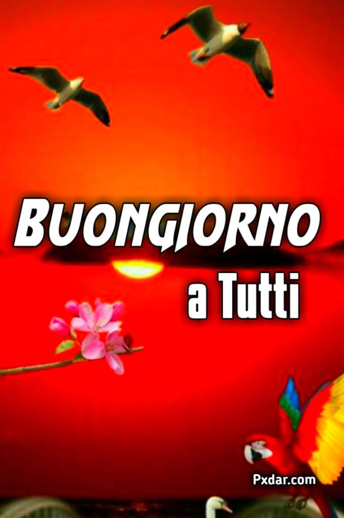 Buongiorno A Tuttu