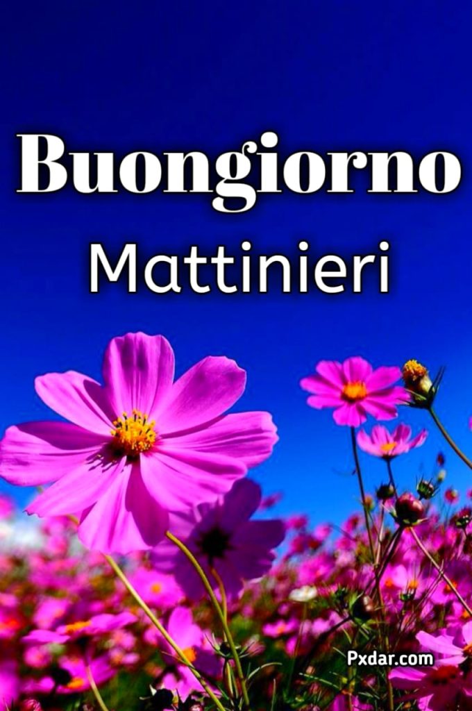 Buongiorno Ai Mattinieri