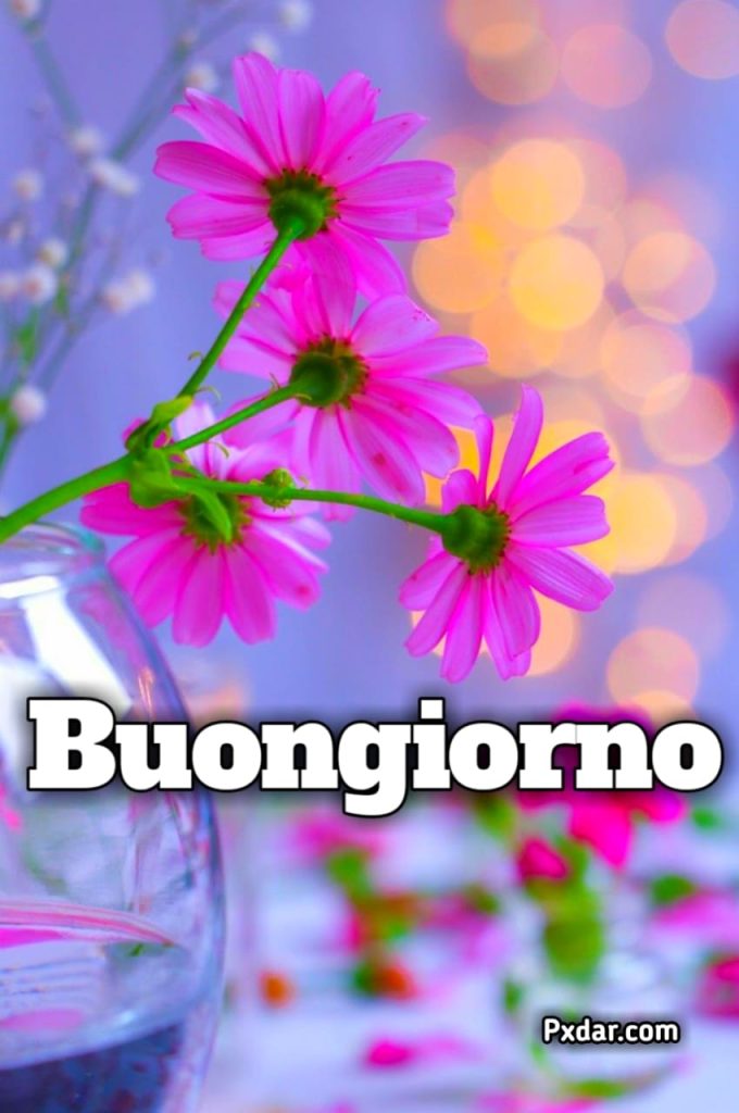 Buongiorno Allegro E Simpatico