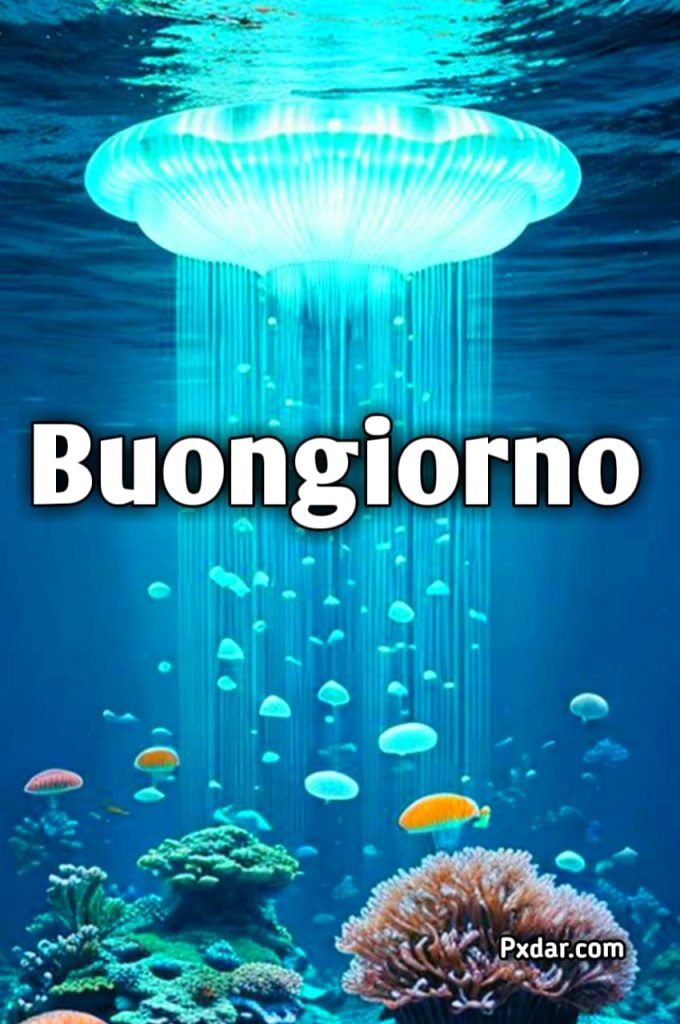 Buongiorno Buon Giovedì Estivo