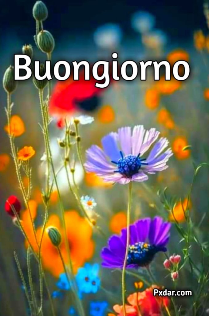 Buongiorno Buon Martedì Primaverile