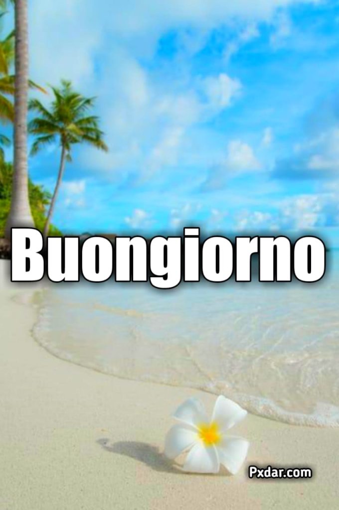 Buongiorno Buon Mercoledì Estivo