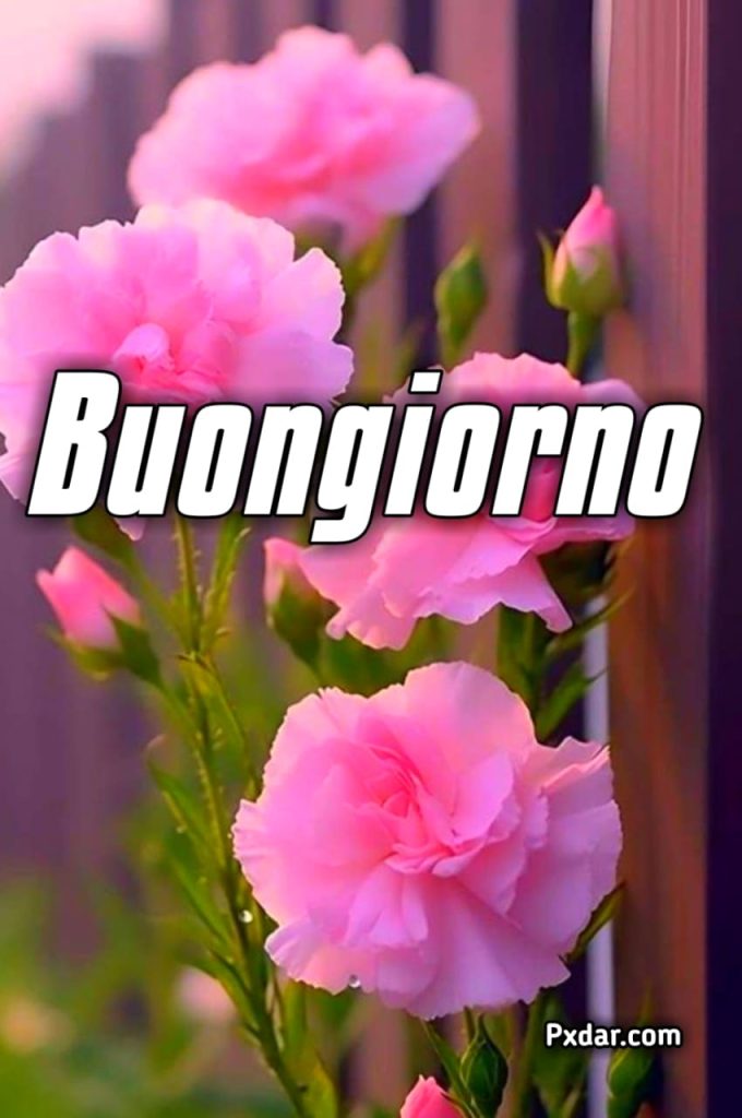 Buongiorno Buon Sabato Primaverile