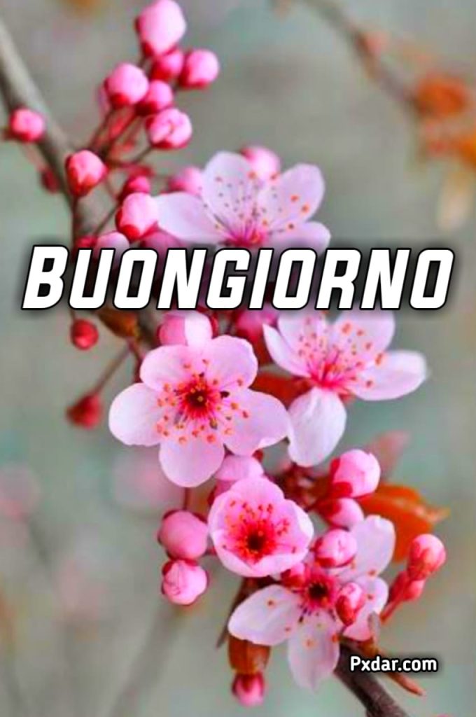 Buongiorno Buon Venerdi Primaverile