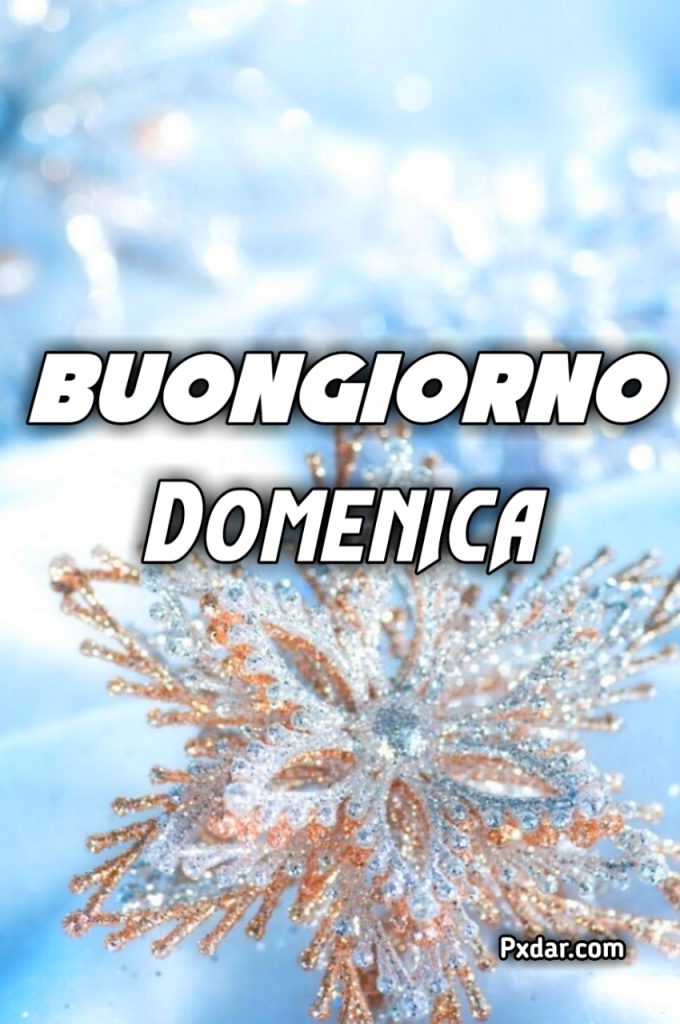 Buongiorno Buona Domenica Invernale Immagini Nuove